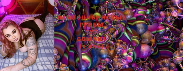 дмт Кулебаки