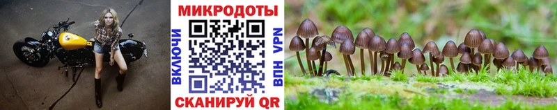 Галлюциногенные грибы ЛСД  Купить  Макушино 